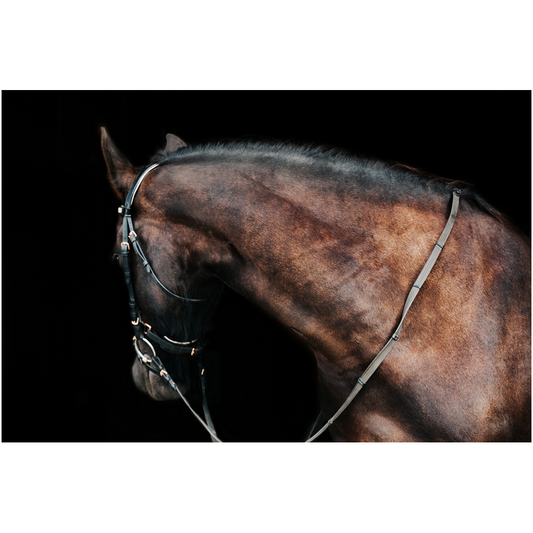 Regal Series 7, Print