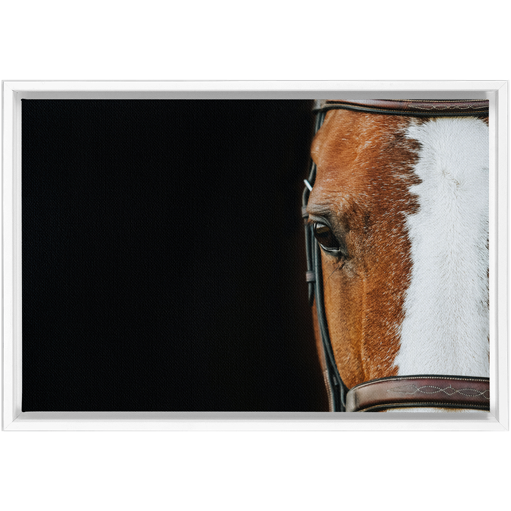 Huntsman Series 5, Framed Canvas