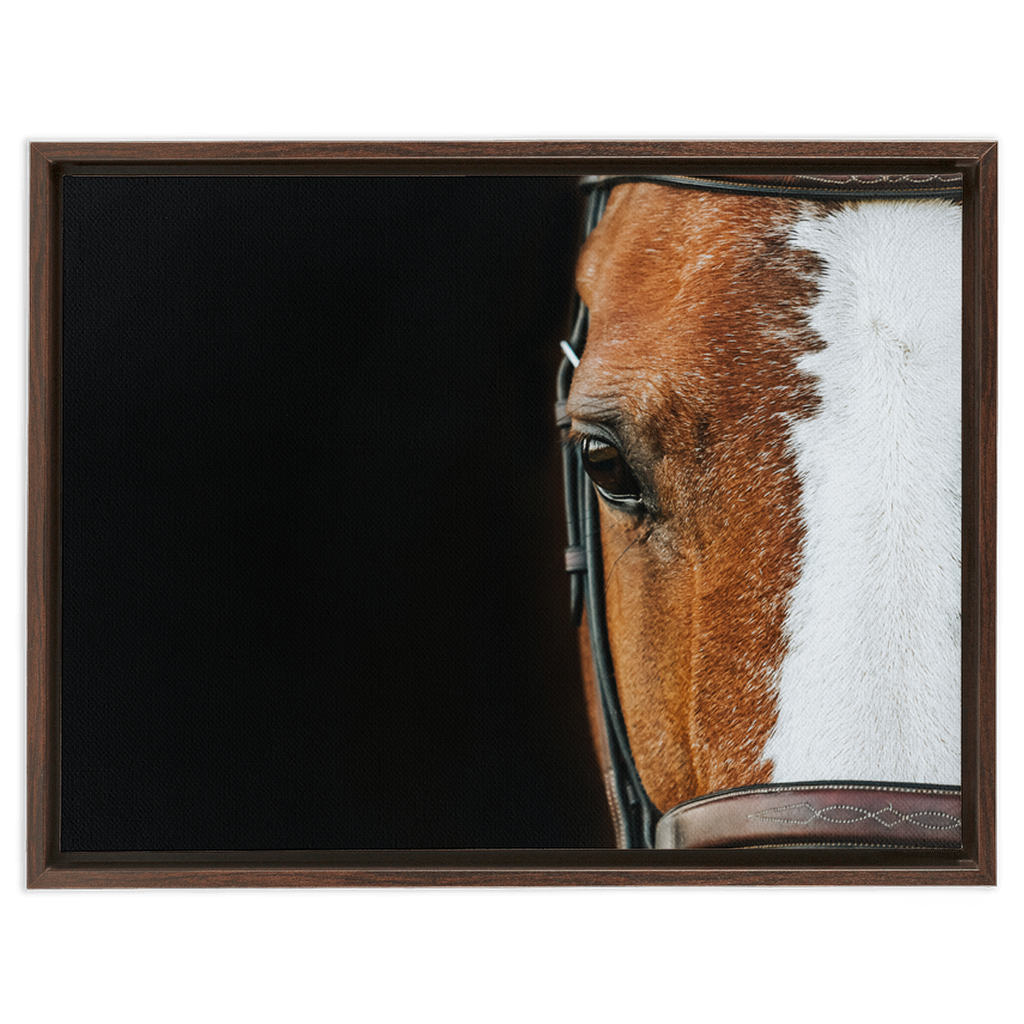Huntsman Series 5, Framed Canvas
