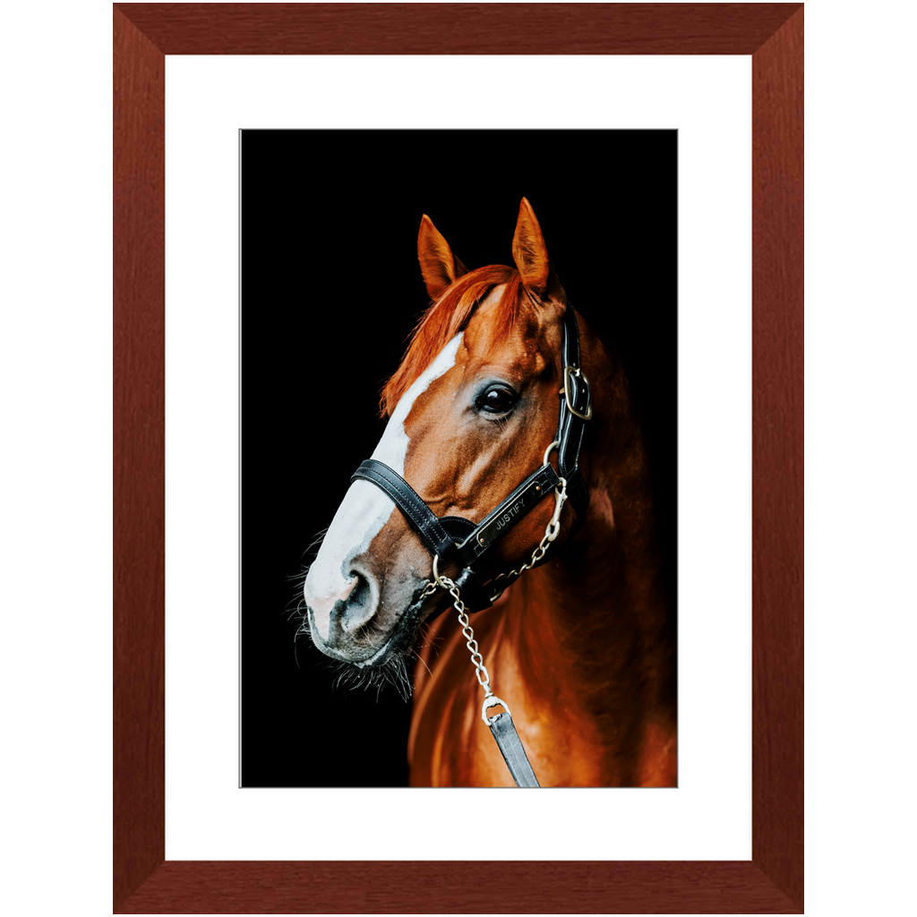 Justify Series 5, Framed Print
