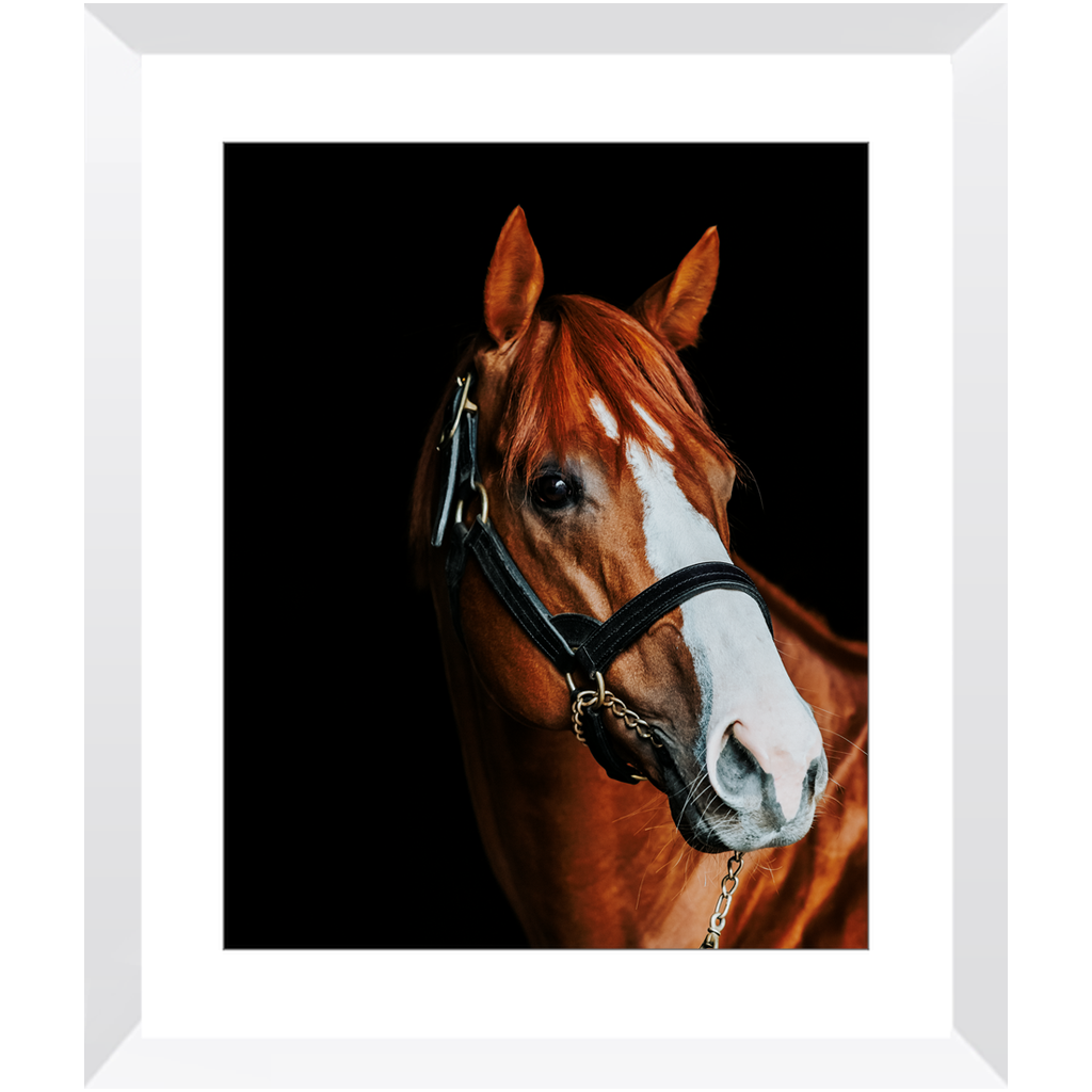 Justify Series 2, Framed Print