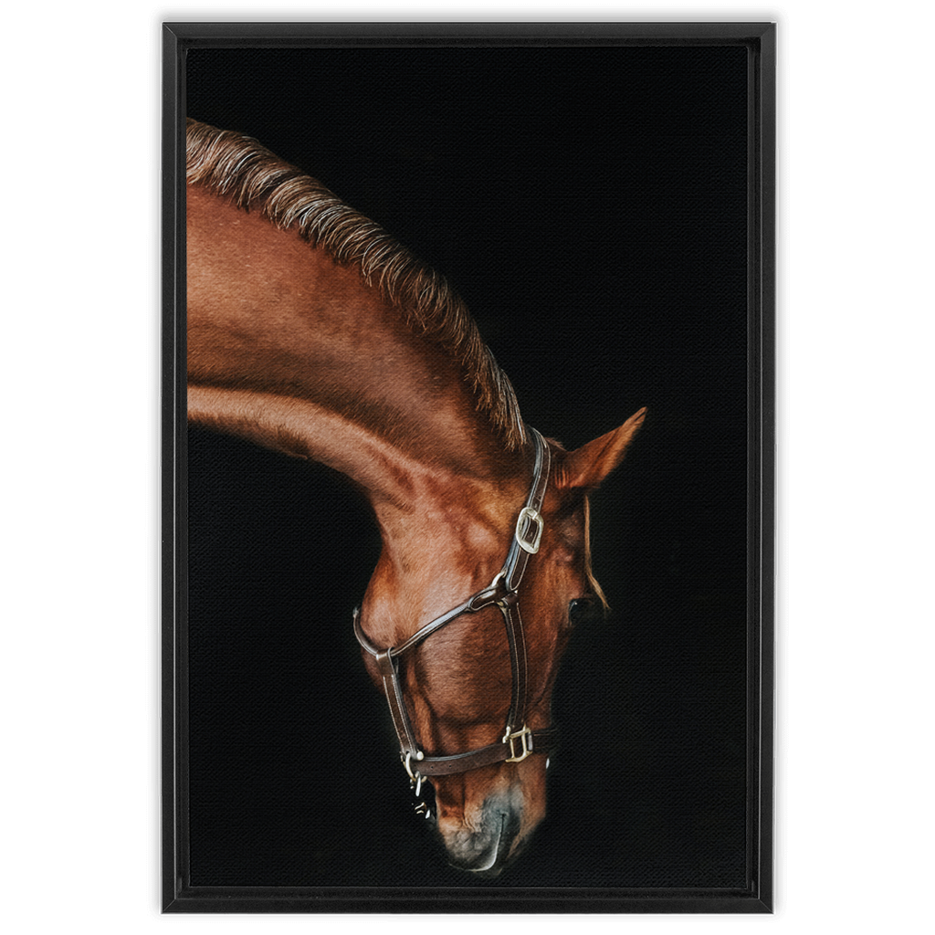 Django Series 6, Framed Canvas