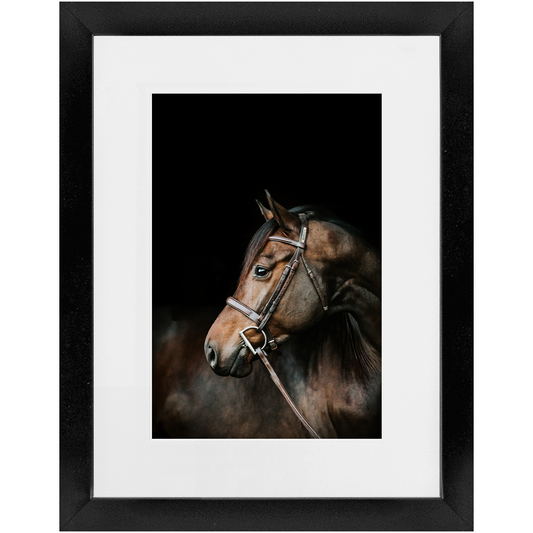 Jovial Series 3, Framed Print