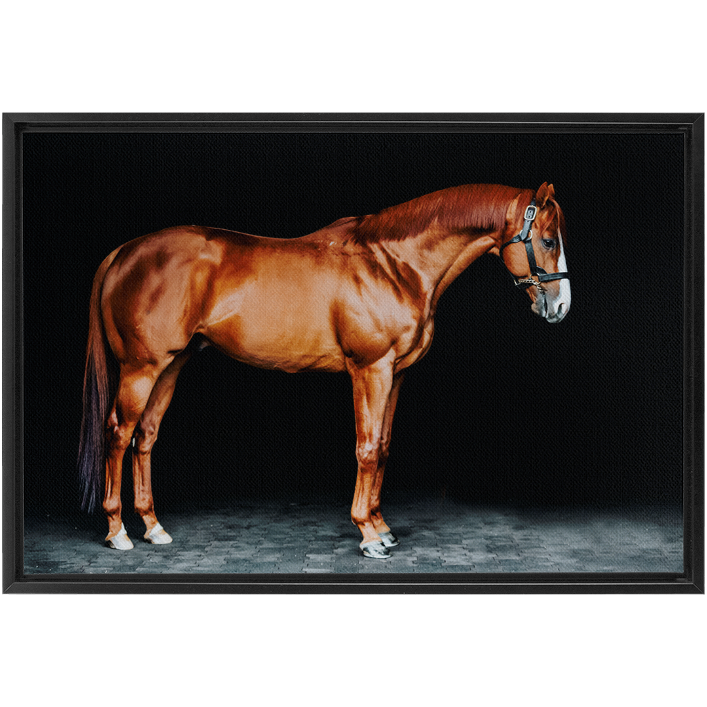 Justify Series 6, Framed Canvas