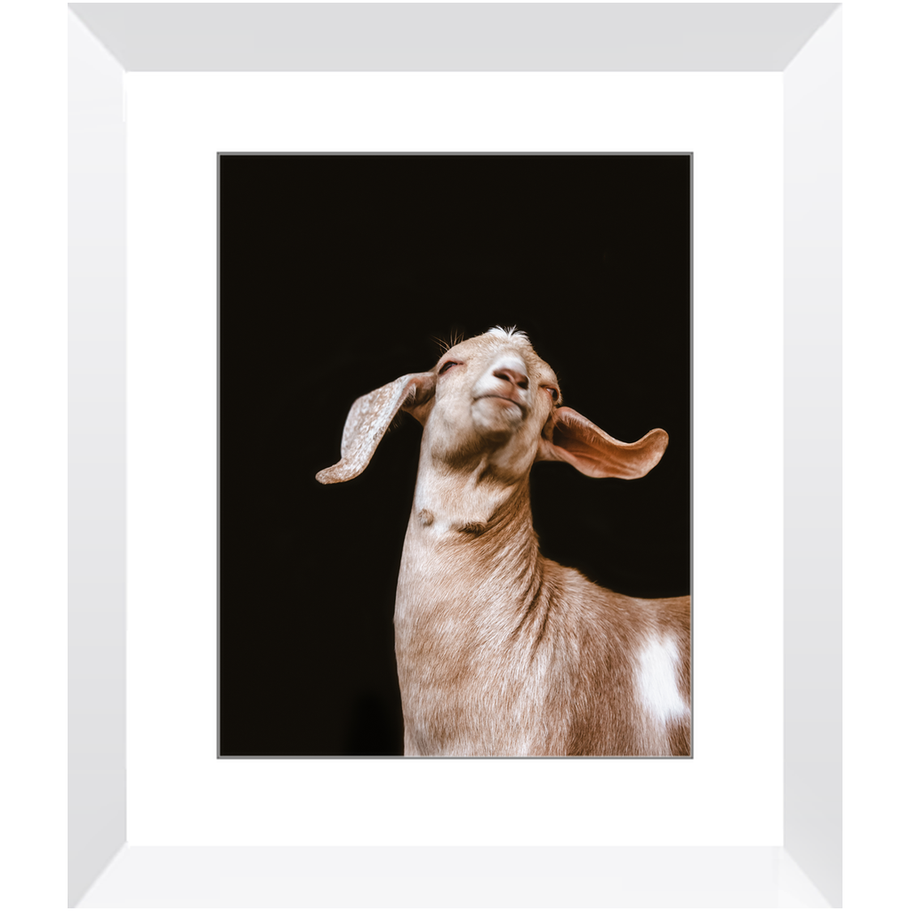 Happy Goat Series 1, Framed Print