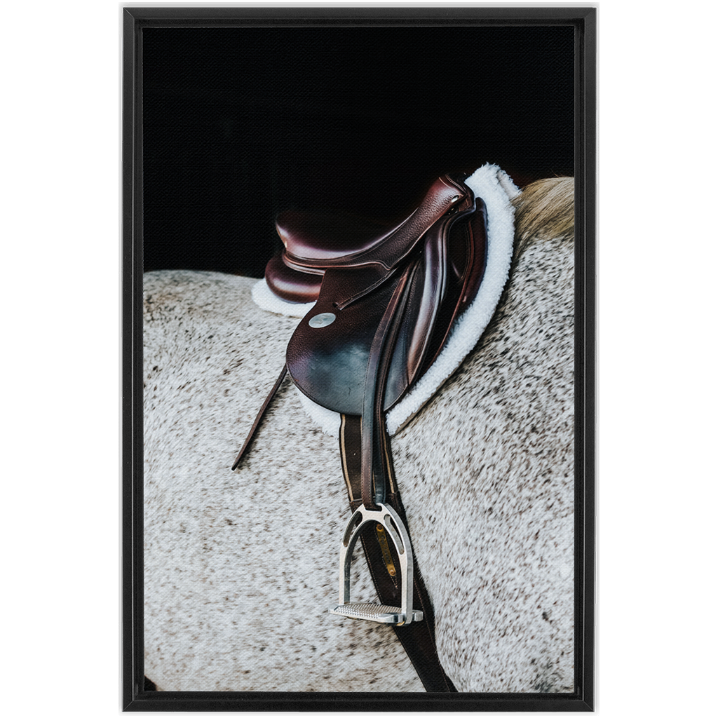 Apollo Series 3, Framed Canvas