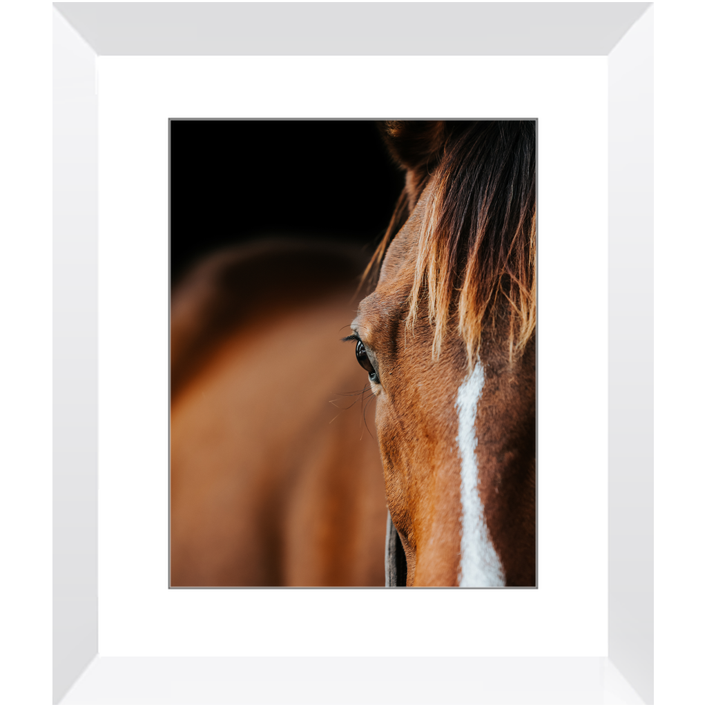 Majestic Series 1, Framed Print