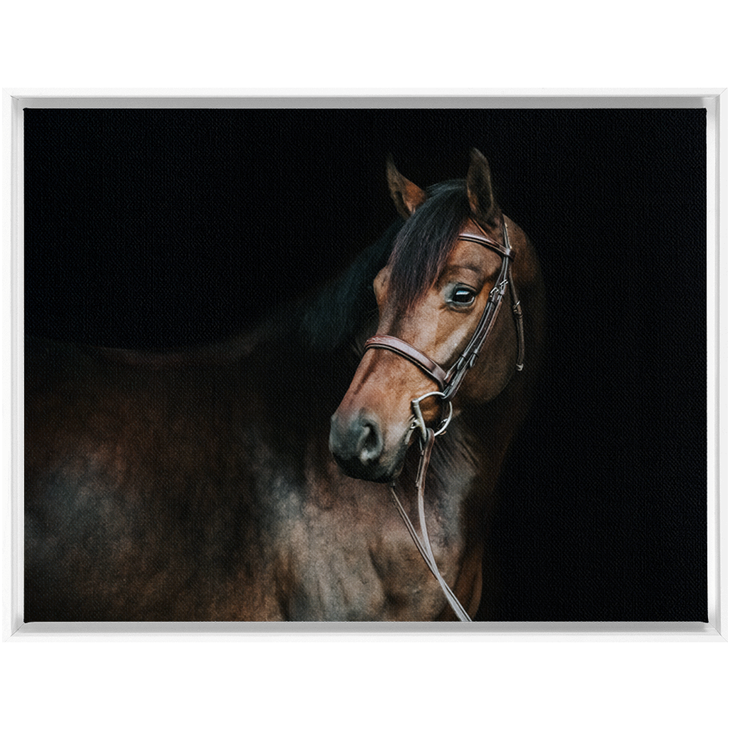 Jovial Series 2, Framed Canvas