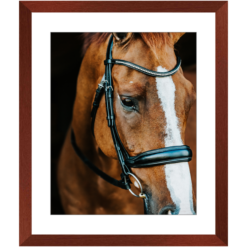 Hudson Series 3, Framed Print