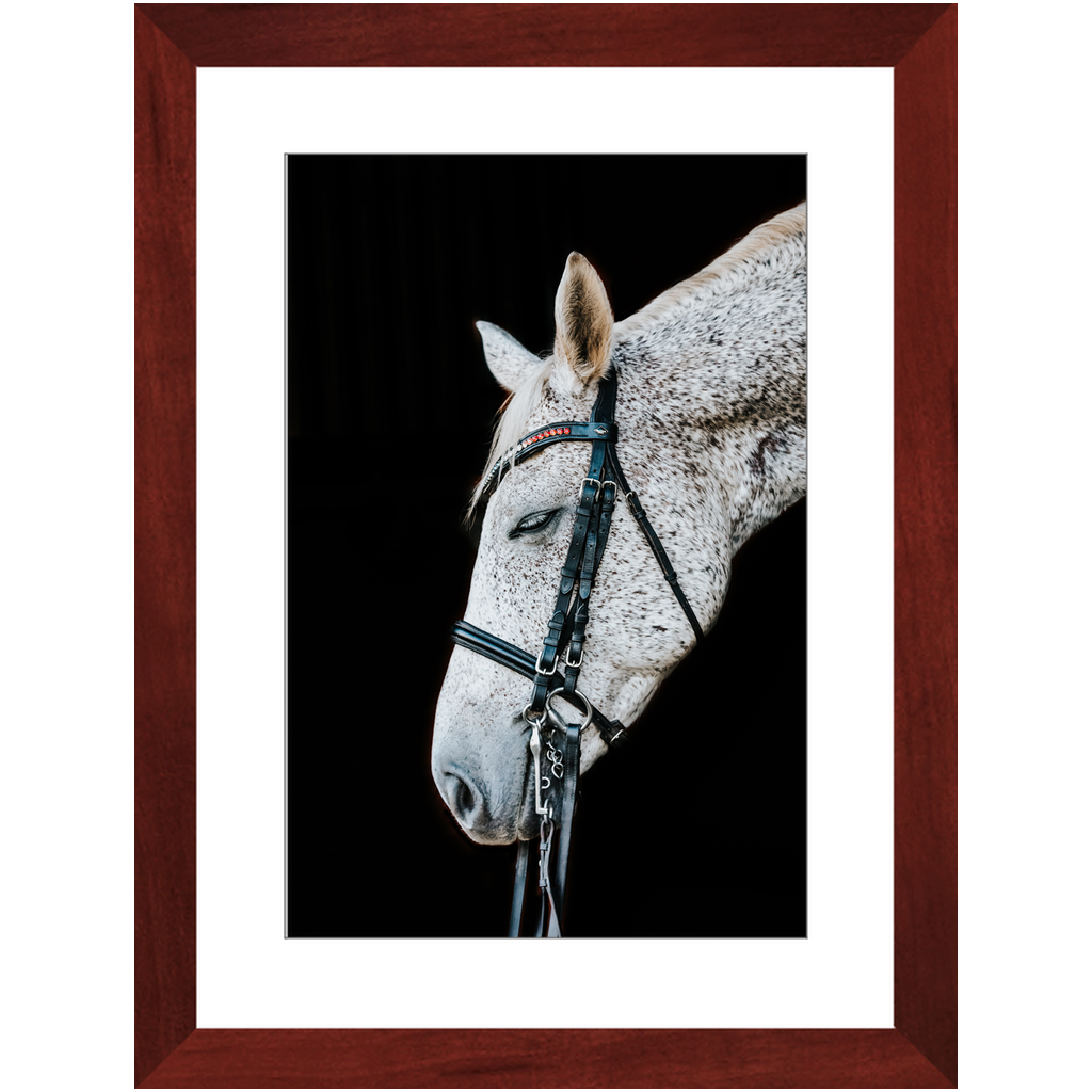 Apollo Series 1, Framed Print