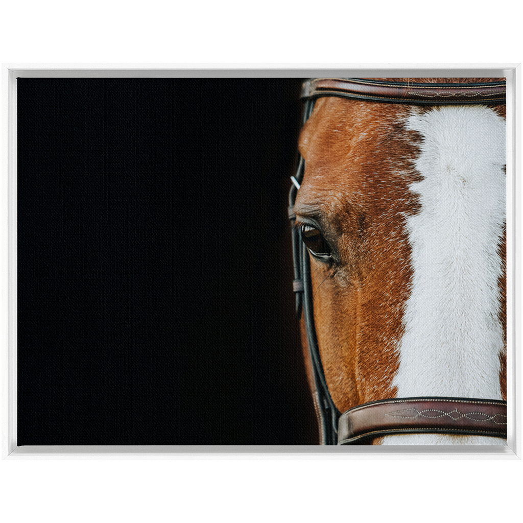 Huntsman Series 5, Framed Canvas
