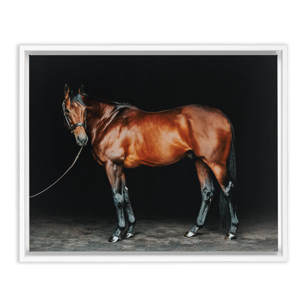 American Pharoah Series 1, Framed Canvas