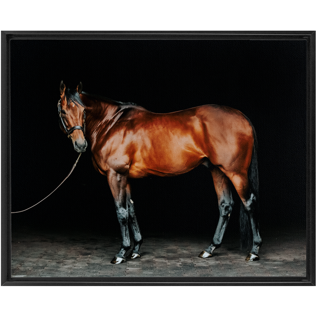 American Pharoah Series 1, Framed Canvas