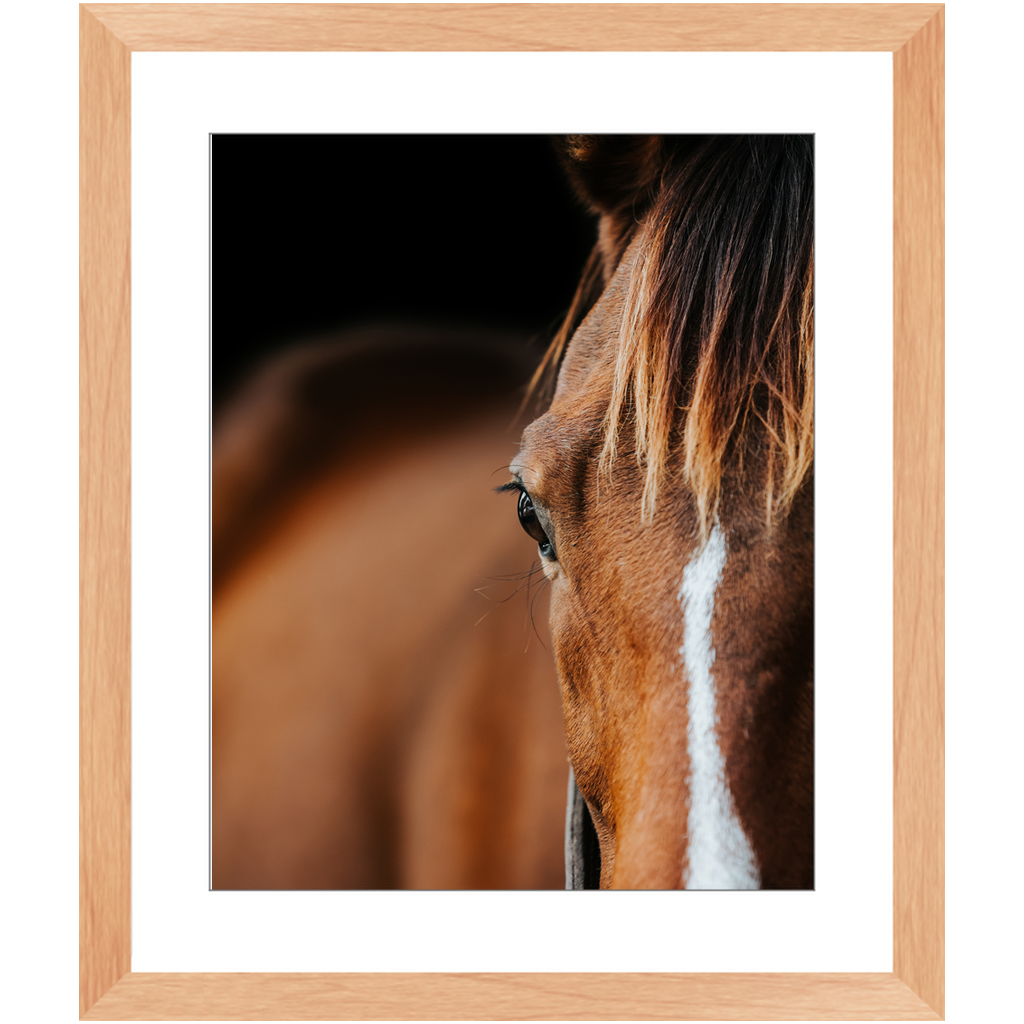 Majestic Series 1, Framed Print