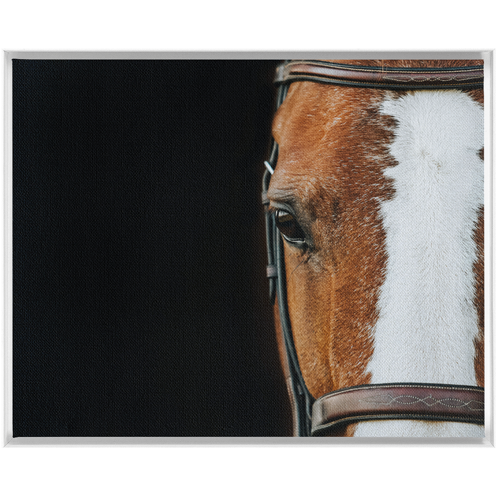 Huntsman Series 5, Framed Canvas