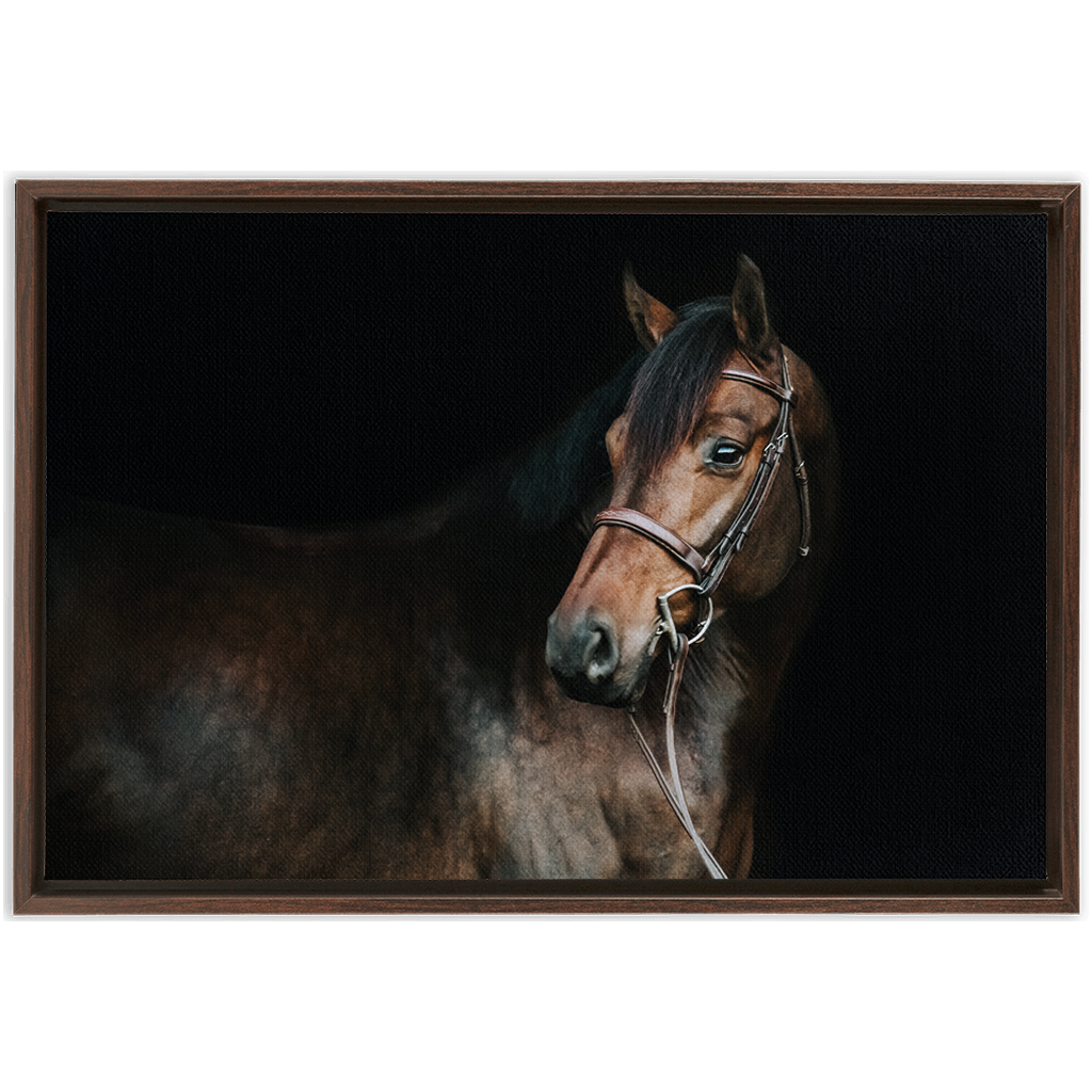 Jovial Series 2, Framed Canvas