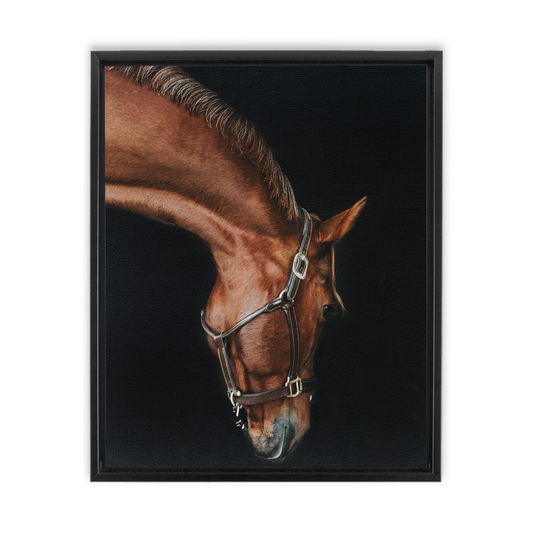 Django Series 6, Framed Canvas
