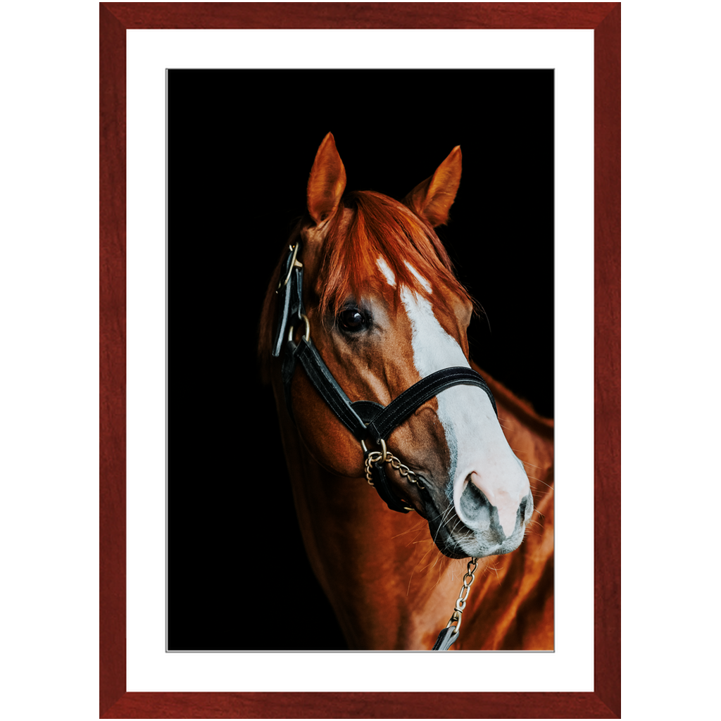 Justify Series 2, Framed Print