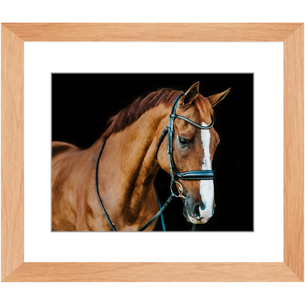 Hudson Series 1, Framed Print