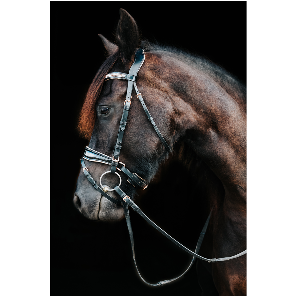 Regal Series 18, Print