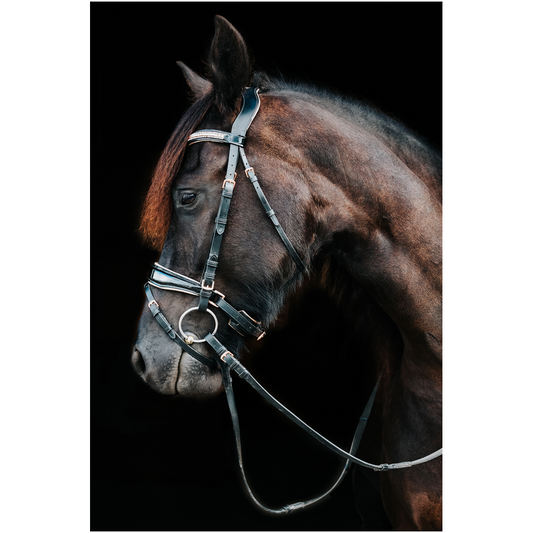 Regal Series 18, Print