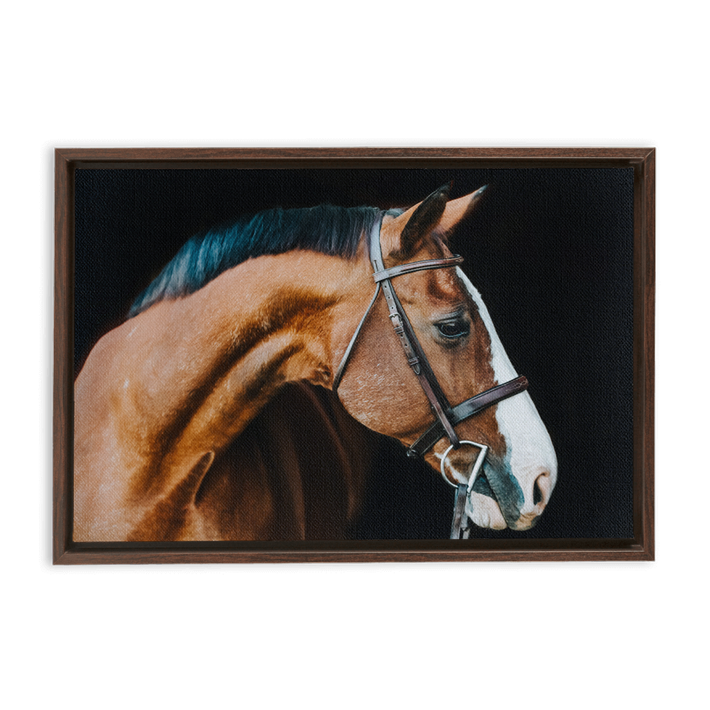 Huntsman Series 3, Framed Canvas