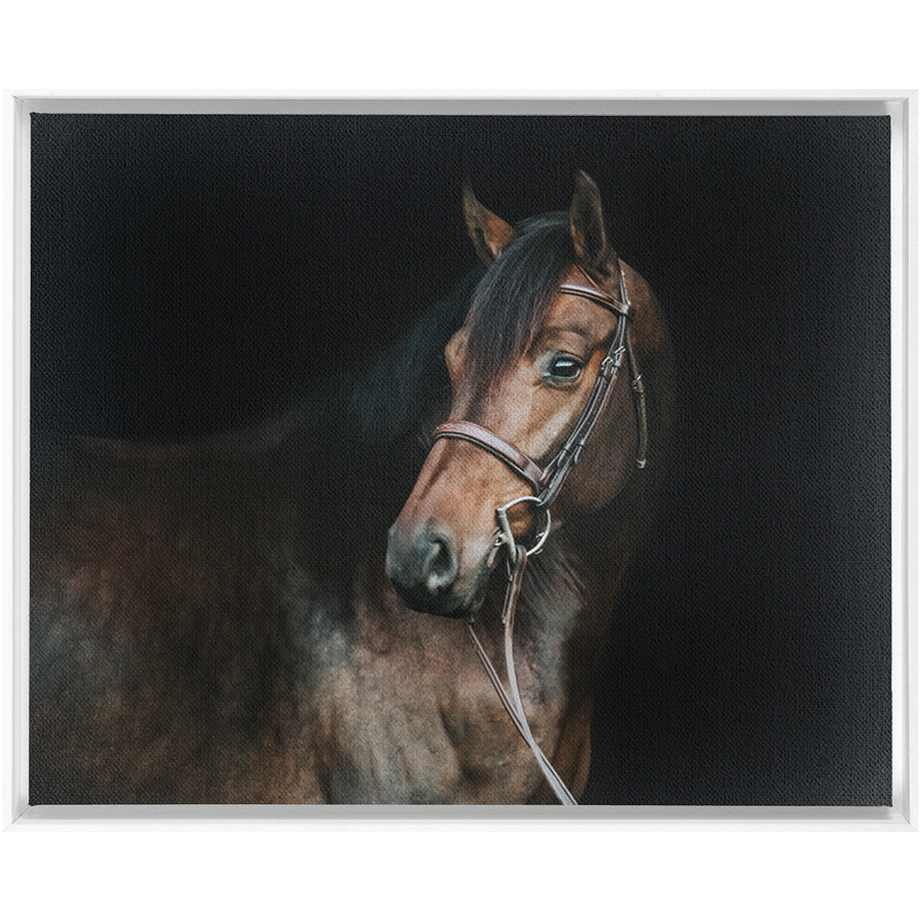 Jovial Series 2, Framed Canvas