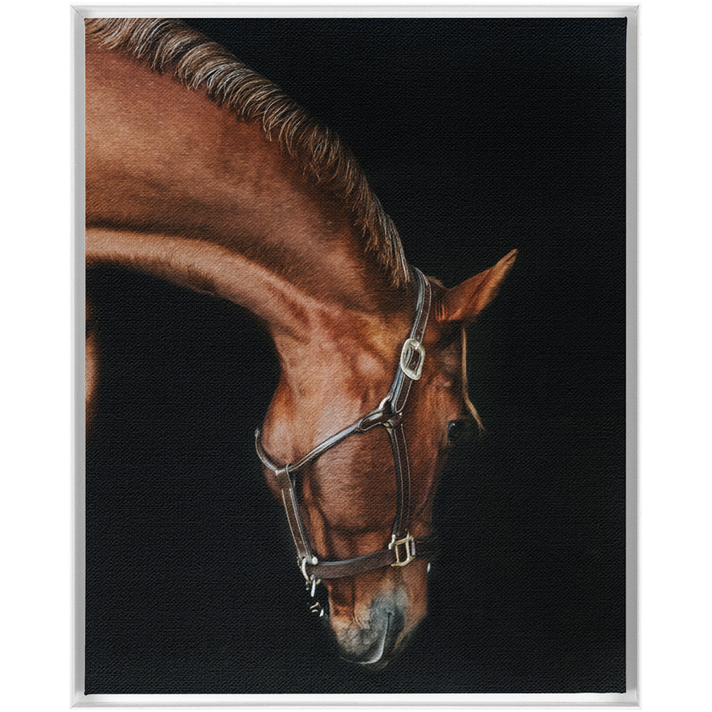 Django Series 6, Framed Canvas