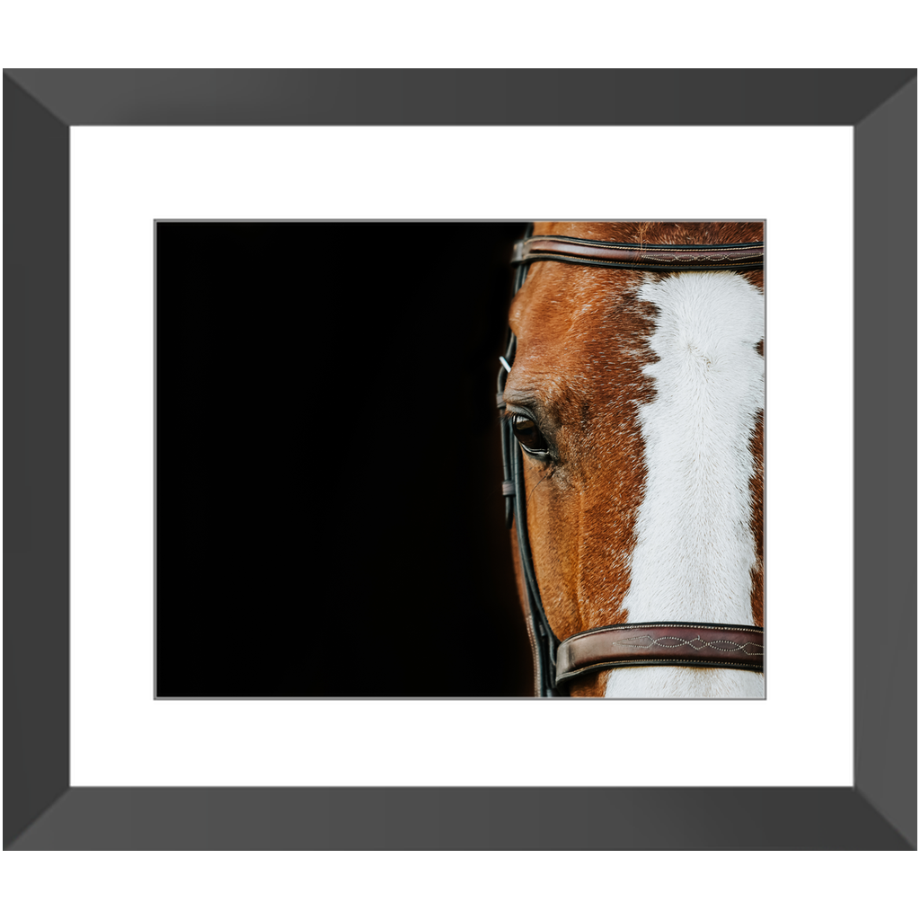 Huntsman Series 5, Framed Print