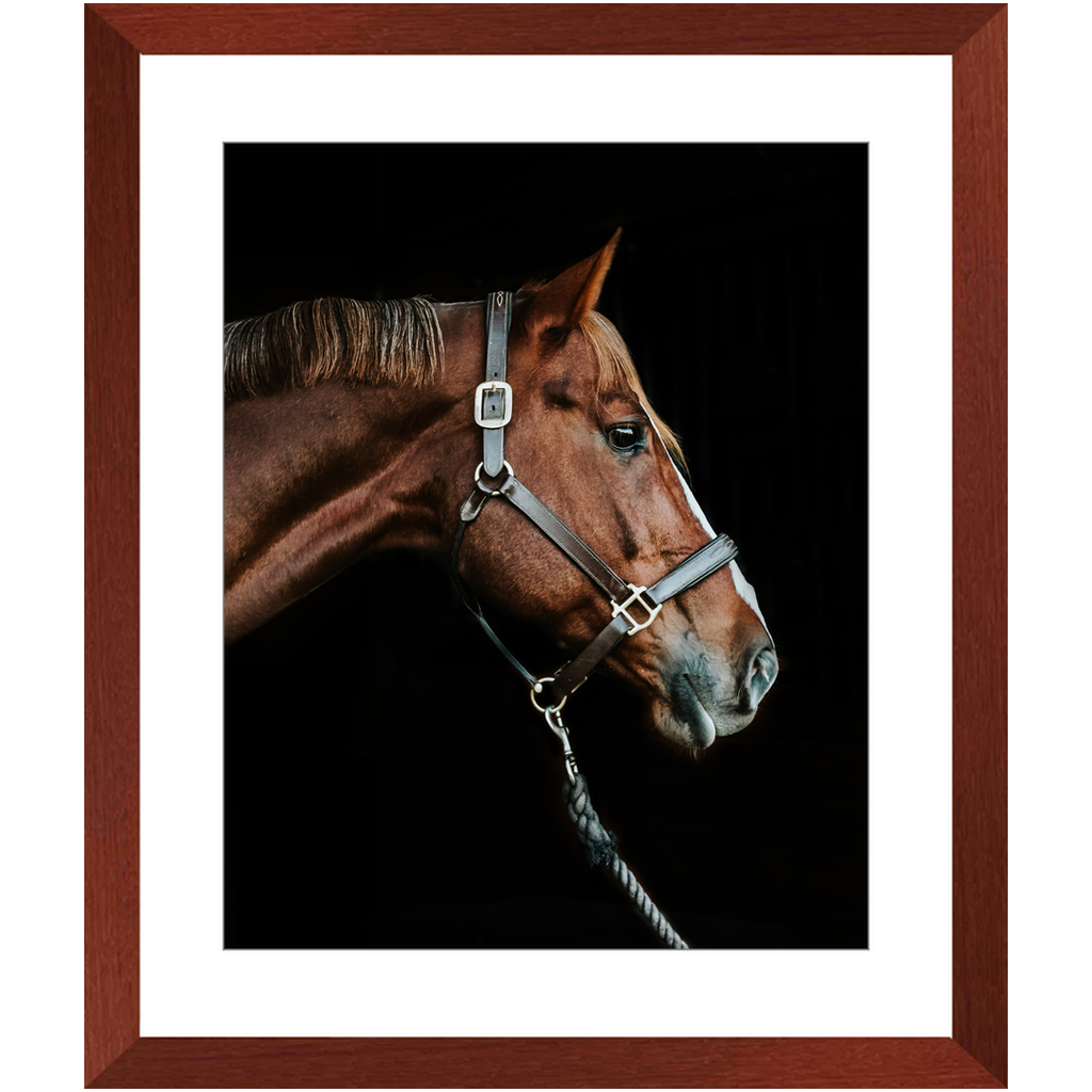 Django Series 3, Framed Print