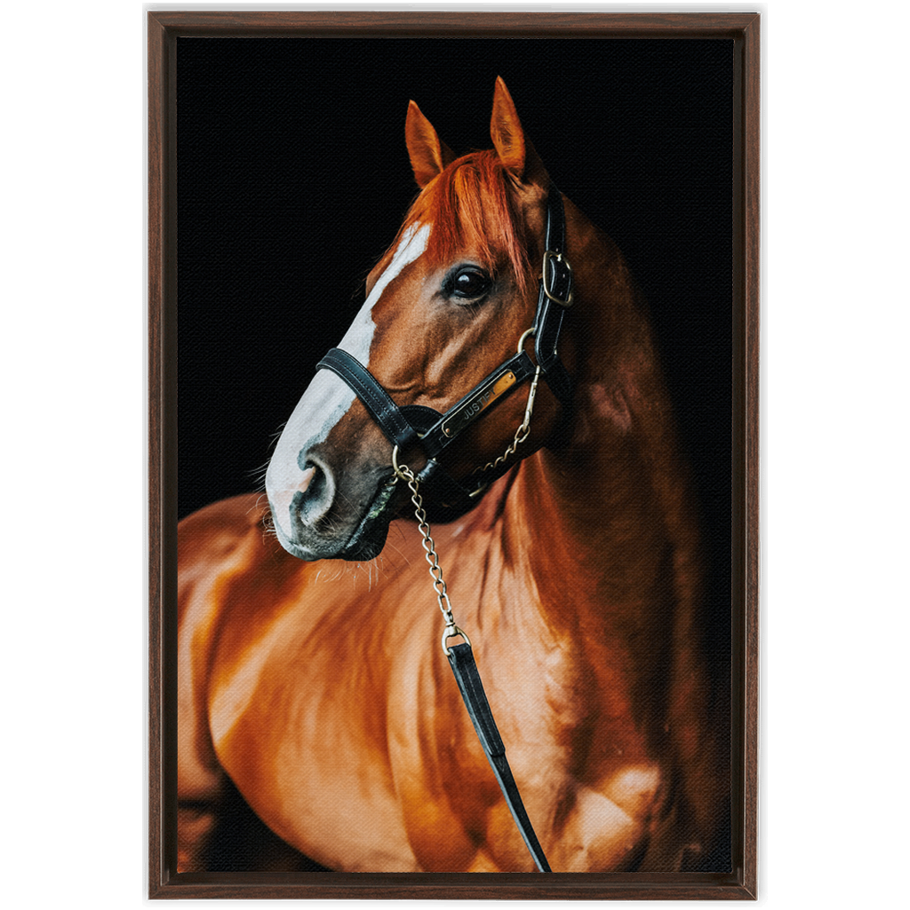 Justify Series 1, Framed Canvas