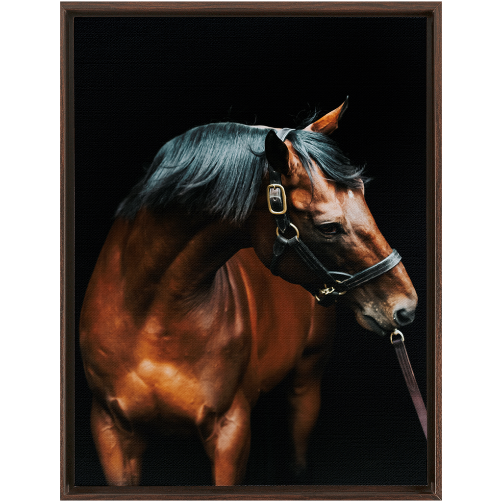 American Pharoah Series 3, Framed Canvas