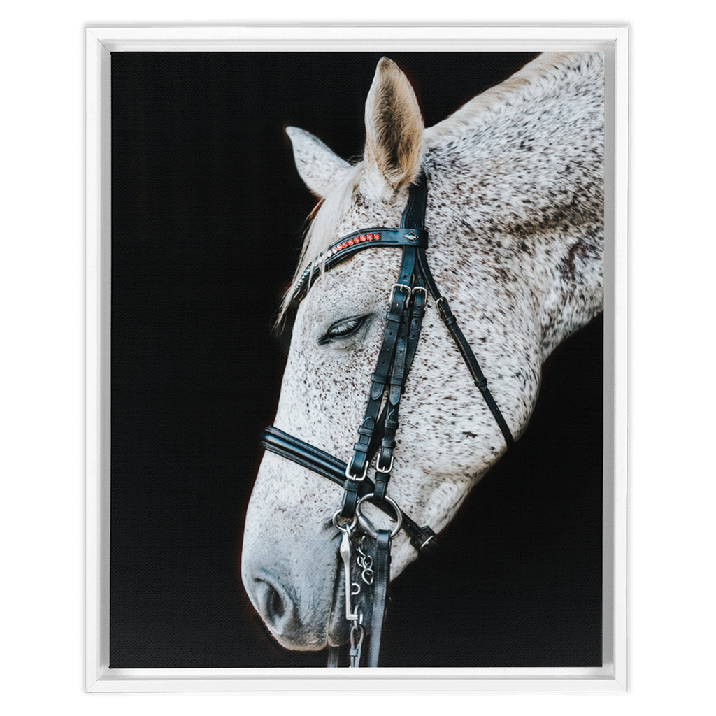 Apollo Series 1, Framed Canvas