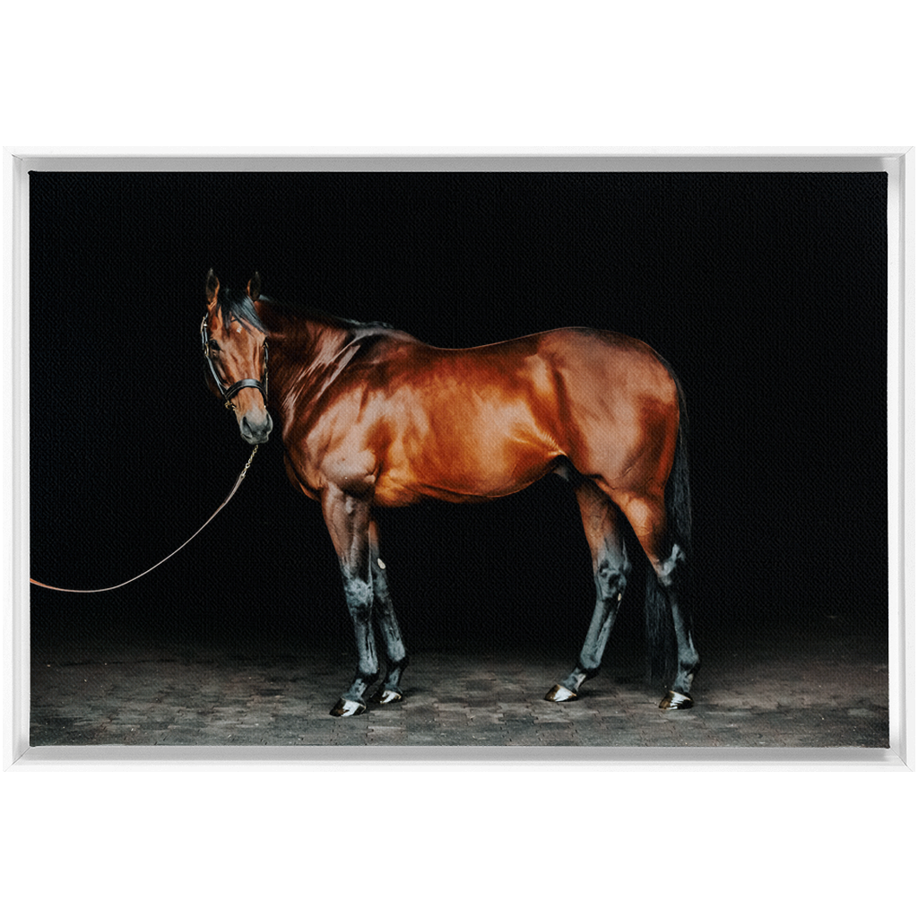 American Pharoah Series 1, Framed Canvas