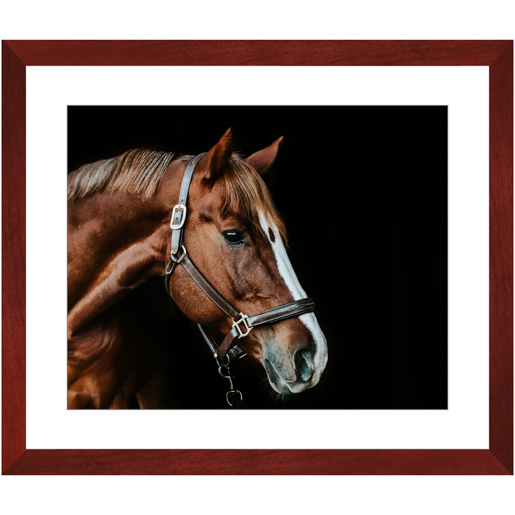 Django Series 5, Framed Print