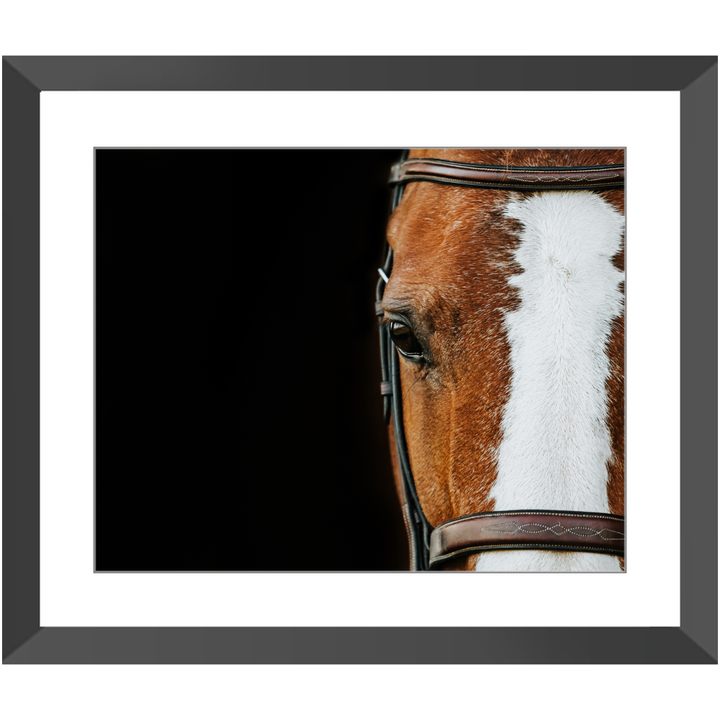 Huntsman Series 5, Framed Print