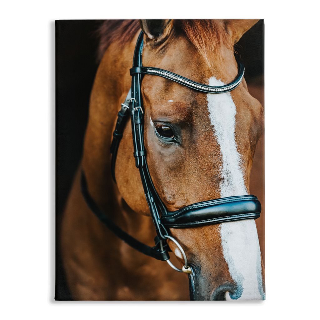 Hudson Series 3, Stretched Canvas
