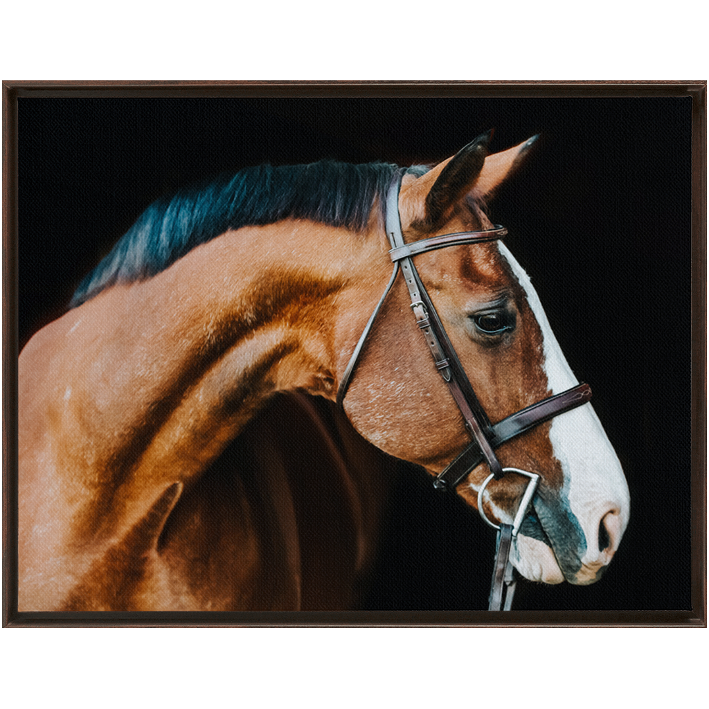 Huntsman Series 3, Framed Canvas