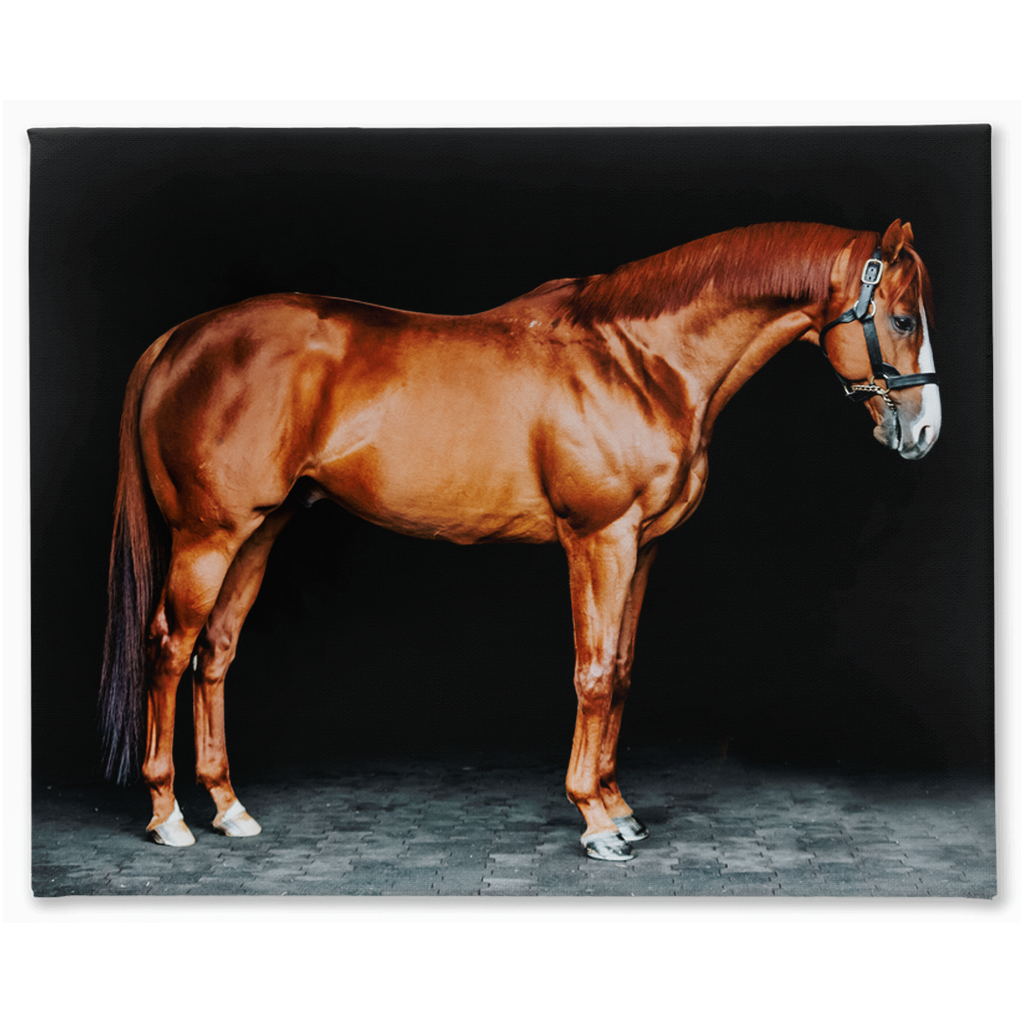Justify Series 6, Stretched Canvas
