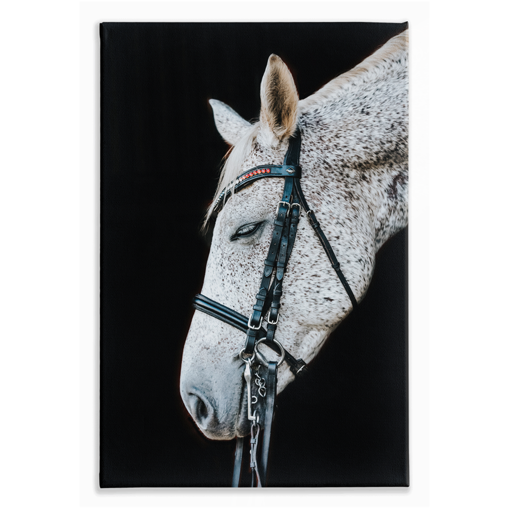 Apollos Series 2, Stretched Canvas