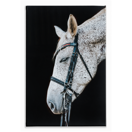 Apollos Series 2, Stretched Canvas