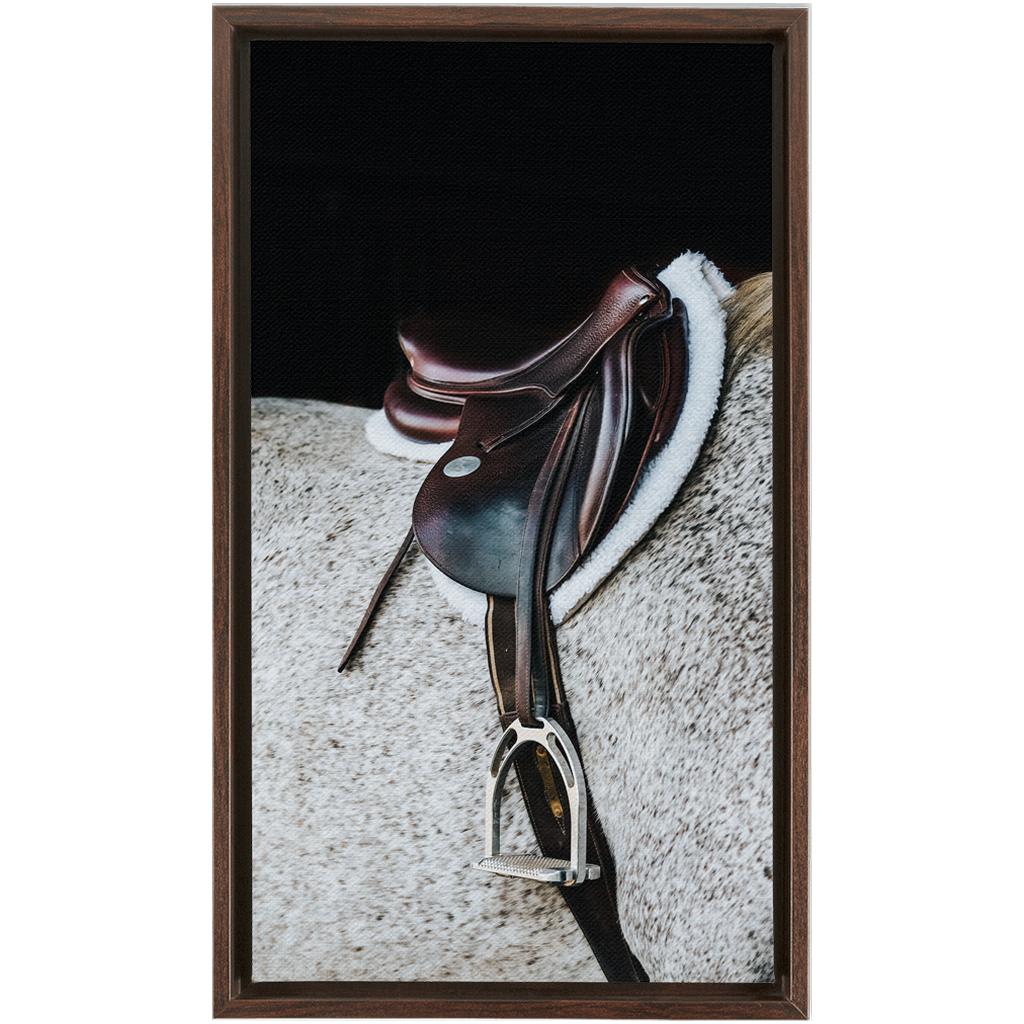 Apollo Series 3, Framed Canvas