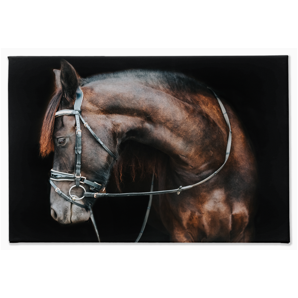 Regal Series 1, Stretched Canvas