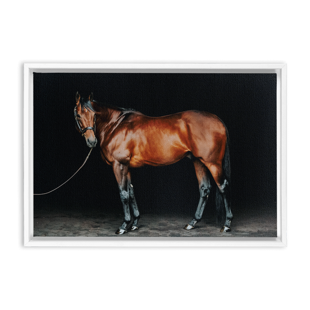 American Pharoah Series 1, Framed Canvas
