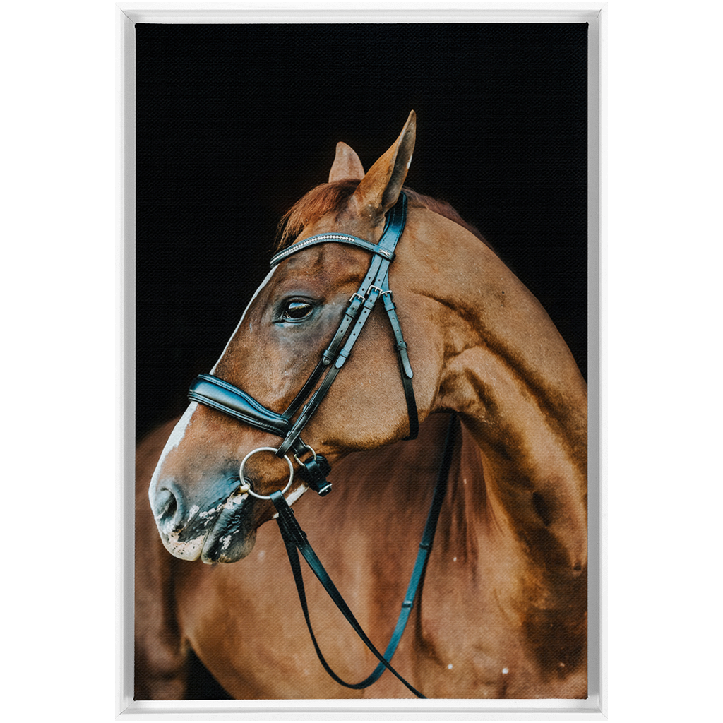 Hudson Series 6, Framed Canvas