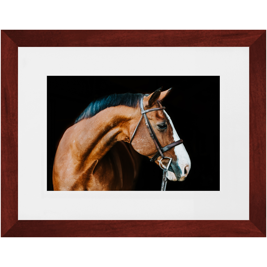 Huntsman Series 3, Framed Print