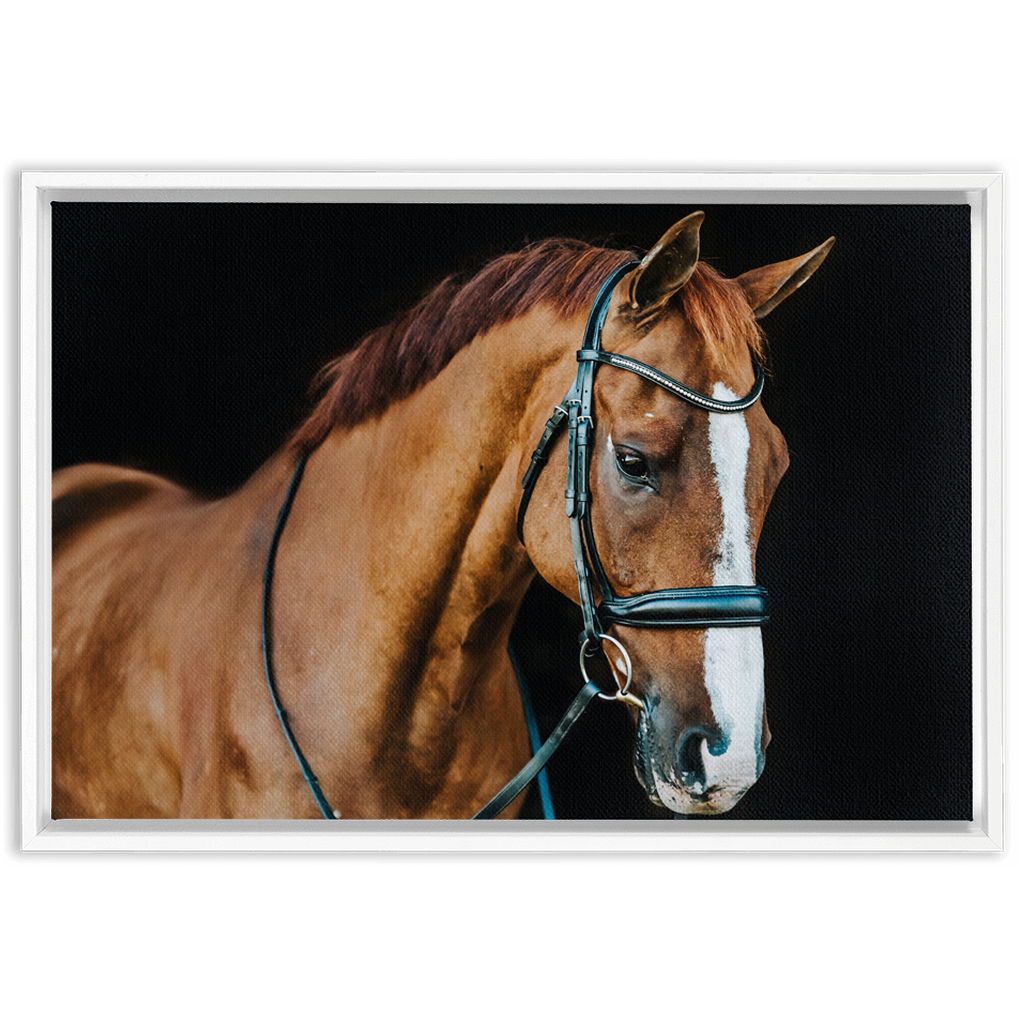 Hudson Series 1, Framed Canvas