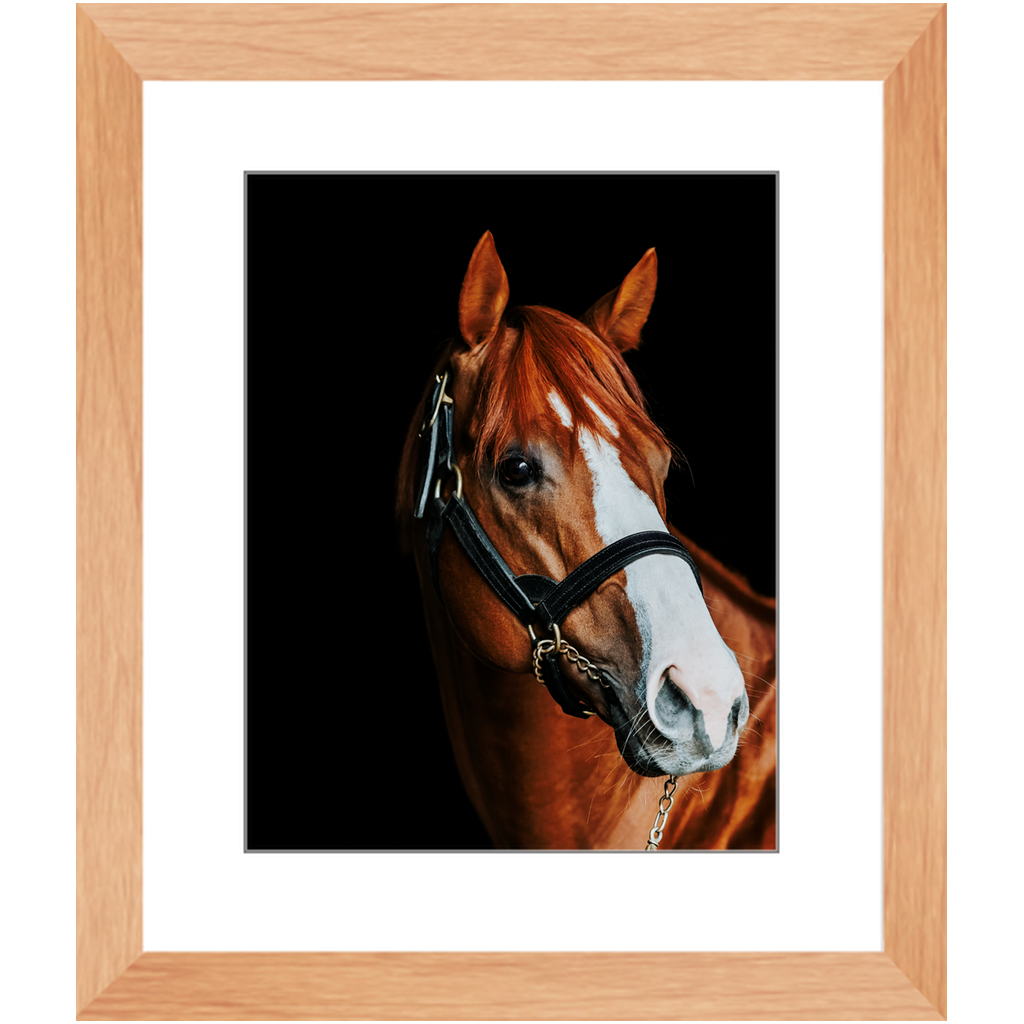 Justify Series 2, Framed Print