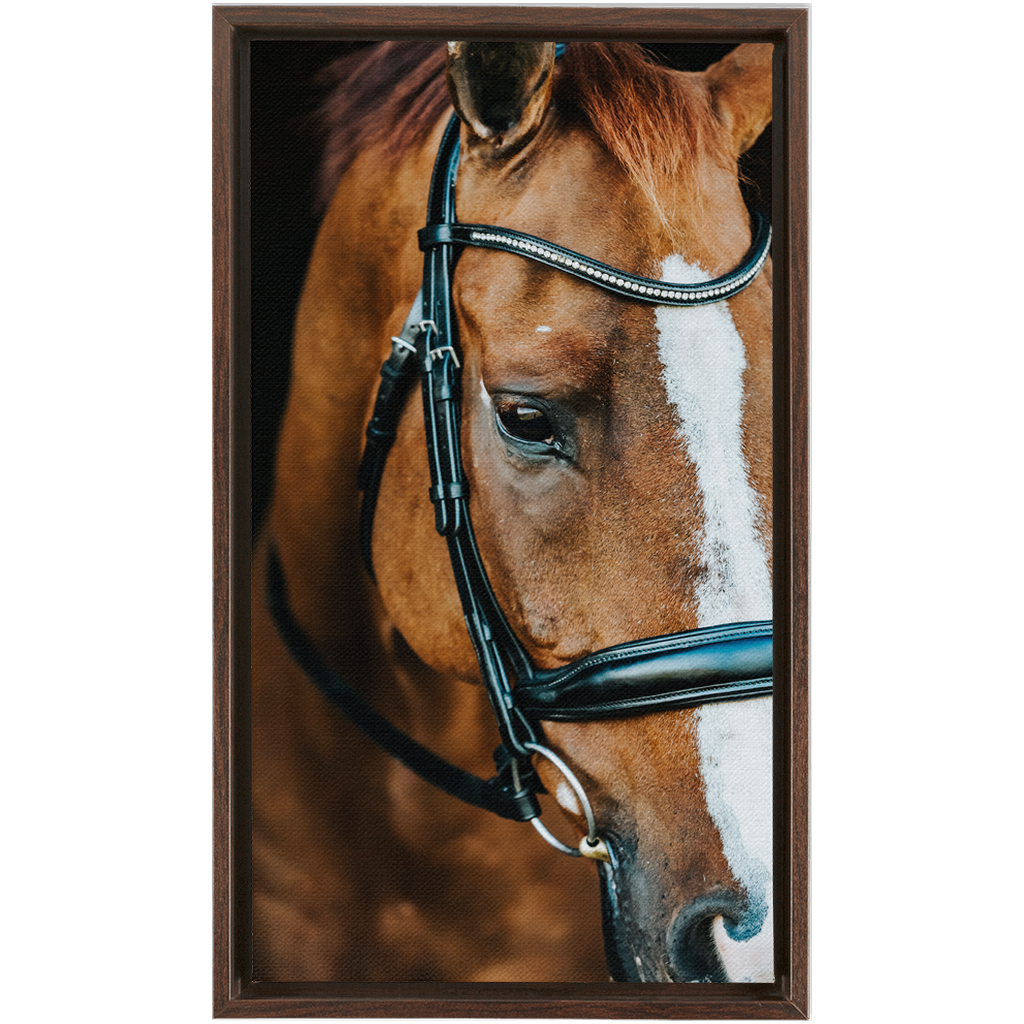 Hudson Series 3, Framed Canvas
