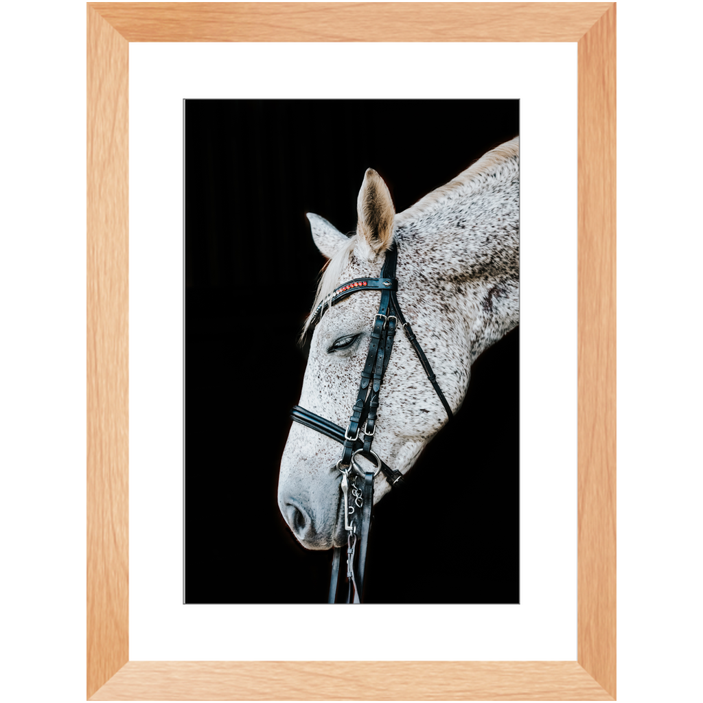 Apollo Series 2, Framed Print